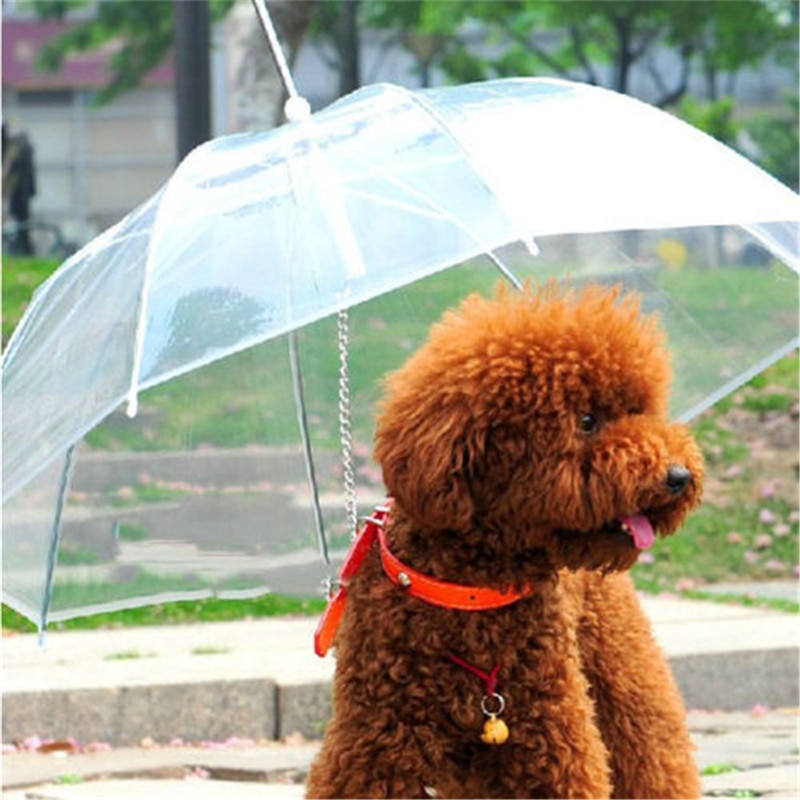 Dog Umbrella with Built-In Leash
