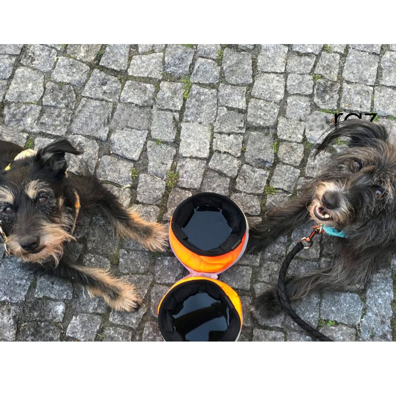 Travel Dog Bowls Collapsible