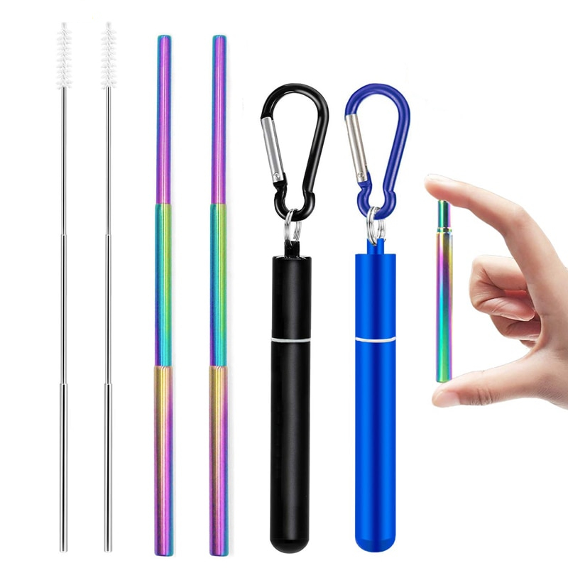 Collapsible Reusable Straw Metal Straw