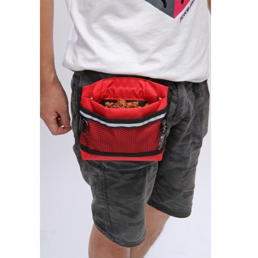 Dog Treat Pouch with Buckle Belt