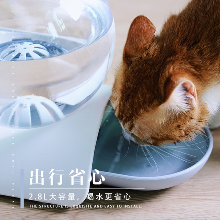 Pet Water Dispenser Automatic Container