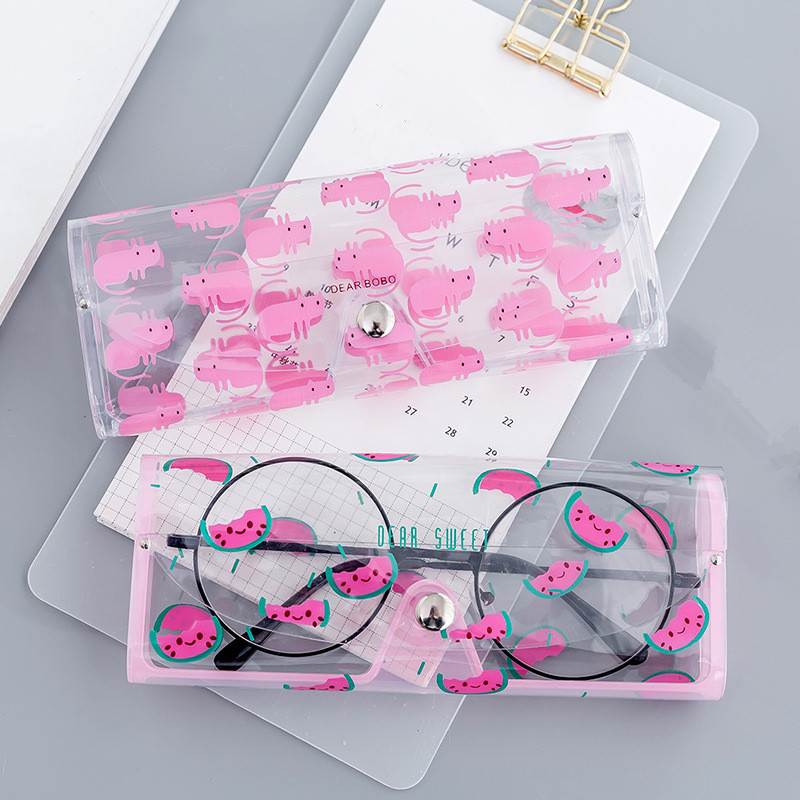 Eyeglass Case Eyewear Protection