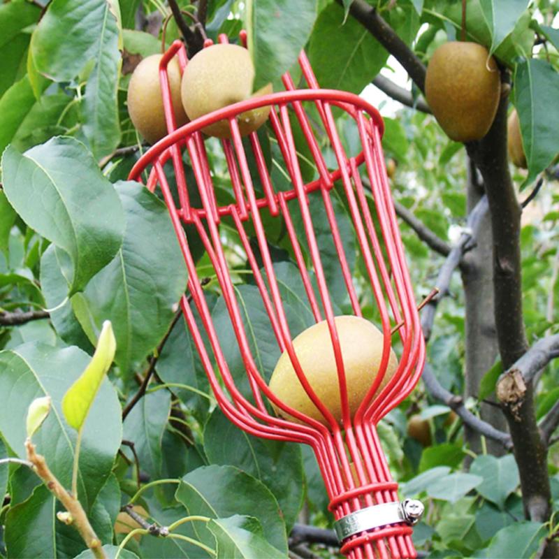 Fruit Picker Tool Gardening Equipment