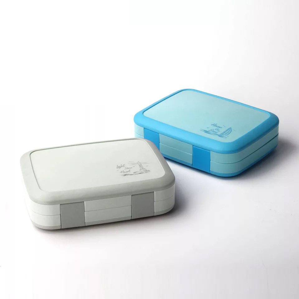School Lunch Box Food Storage Container