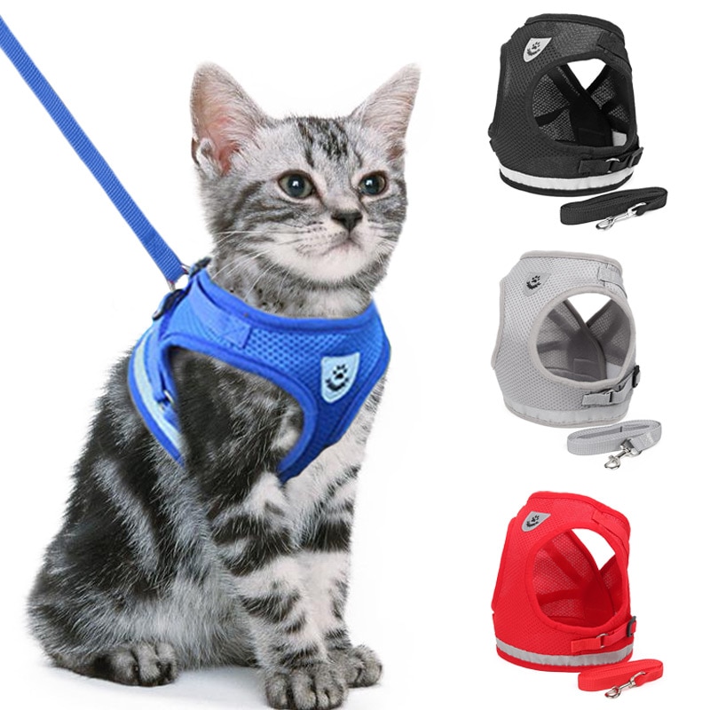 Cat Leash Reflective Pet Accessory