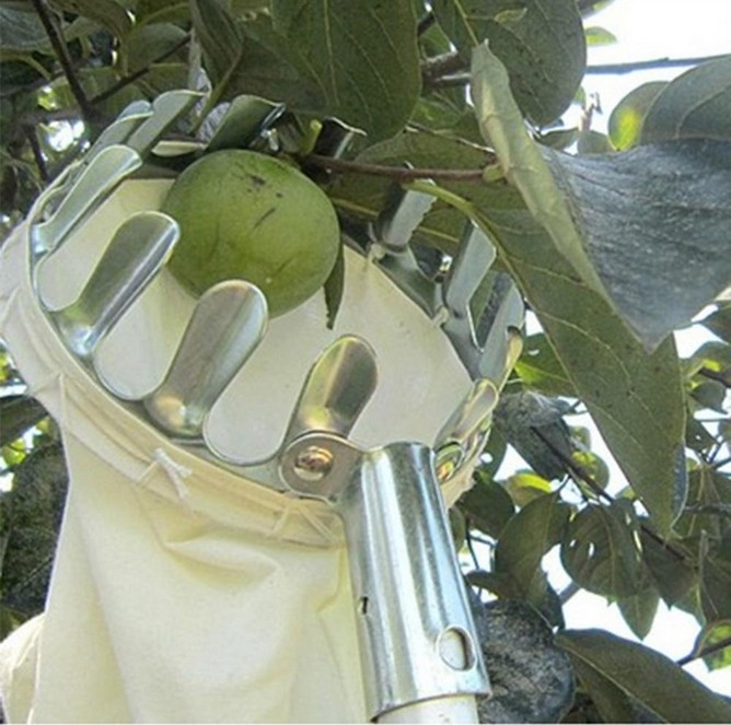 Fruit Picking Tool Metal