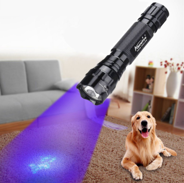 Portable LED Ultraviolet Flashlight