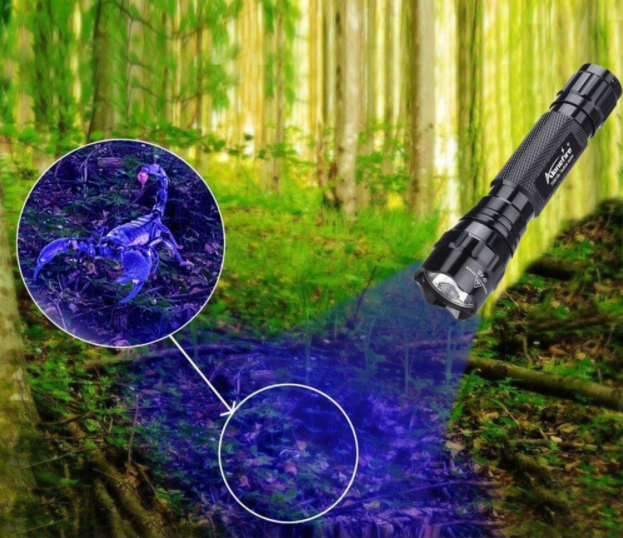 Portable LED Ultraviolet Flashlight