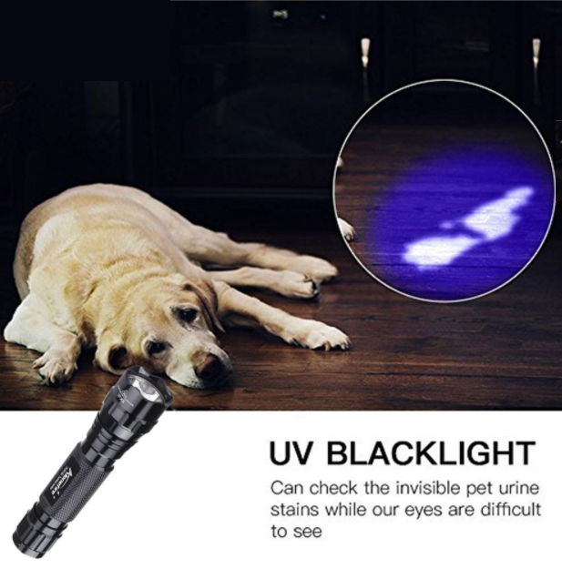 Portable LED Ultraviolet Flashlight