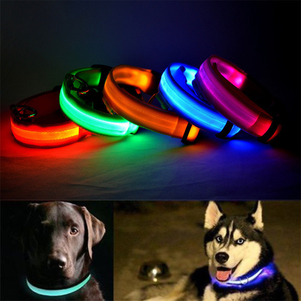 USB & Solar Energy Rechargeable LED Dog Collar