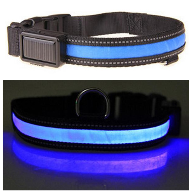 USB & Solar Energy Rechargeable LED Dog Collar