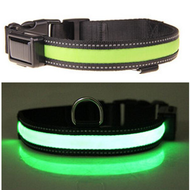 USB & Solar Energy Rechargeable LED Dog Collar