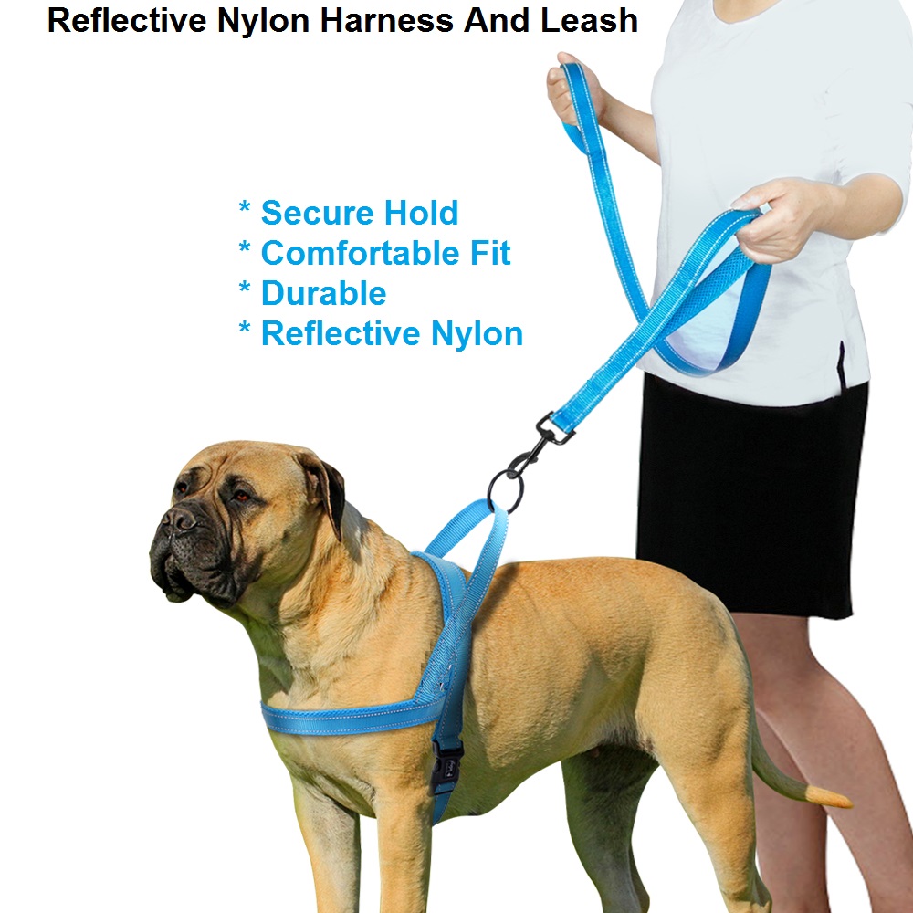 2-in-1 Reflective Nylon Harness And Leash