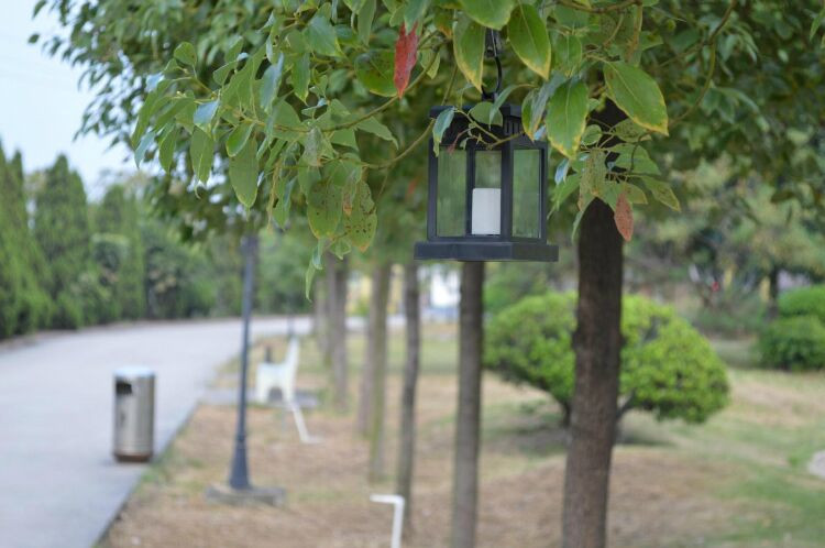 Set of 4 Solar Lighting Outdoor Hanging Lantern