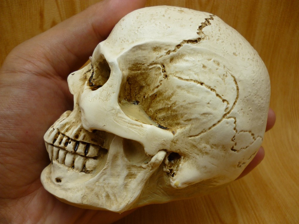 Non-Stick Silicone 3D Skull Mold