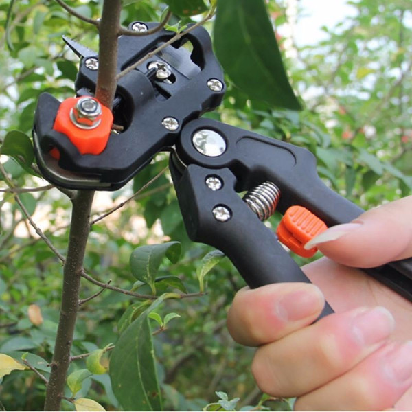 Garden Pruning Set