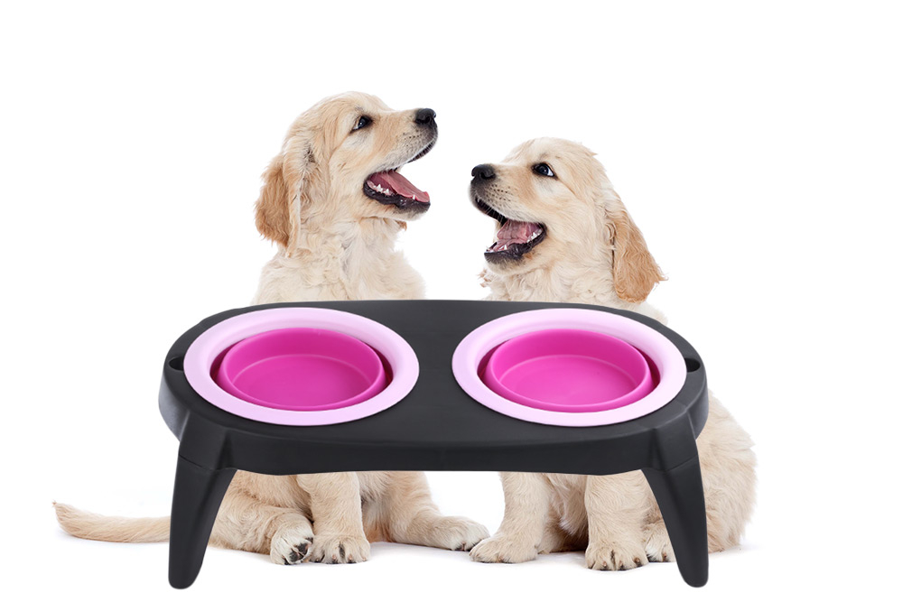 Portable Silicone Pet Feeder Station