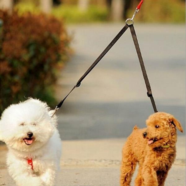 Double Dog Lead Walking Leash