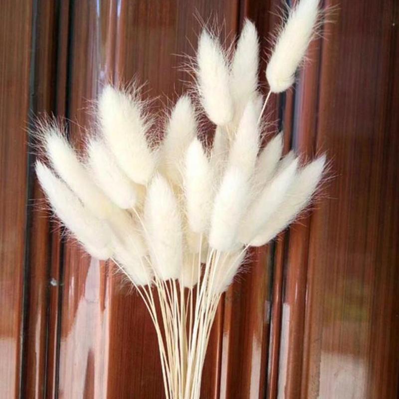Naturally Dried Bunny Tails (30 pcs)