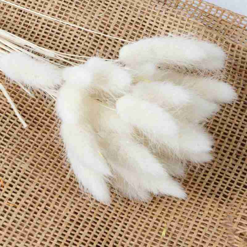 Naturally Dried Bunny Tails (30 pcs)