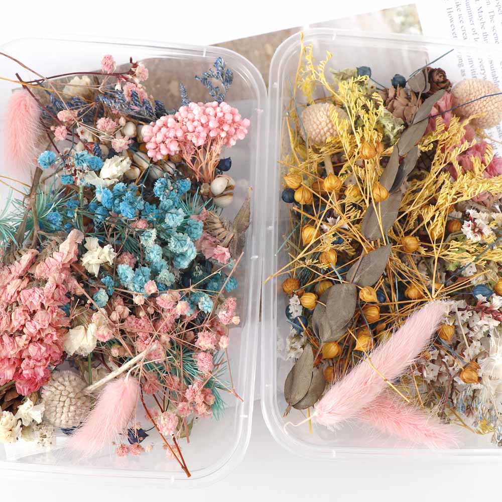 Real Natural Pressed Dried Flowers