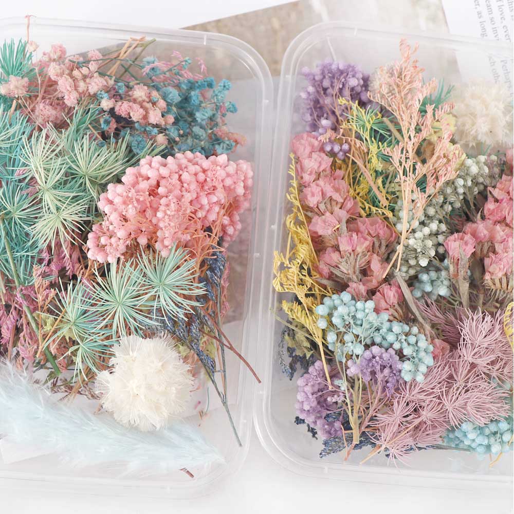 Real Natural Pressed Dried Flowers