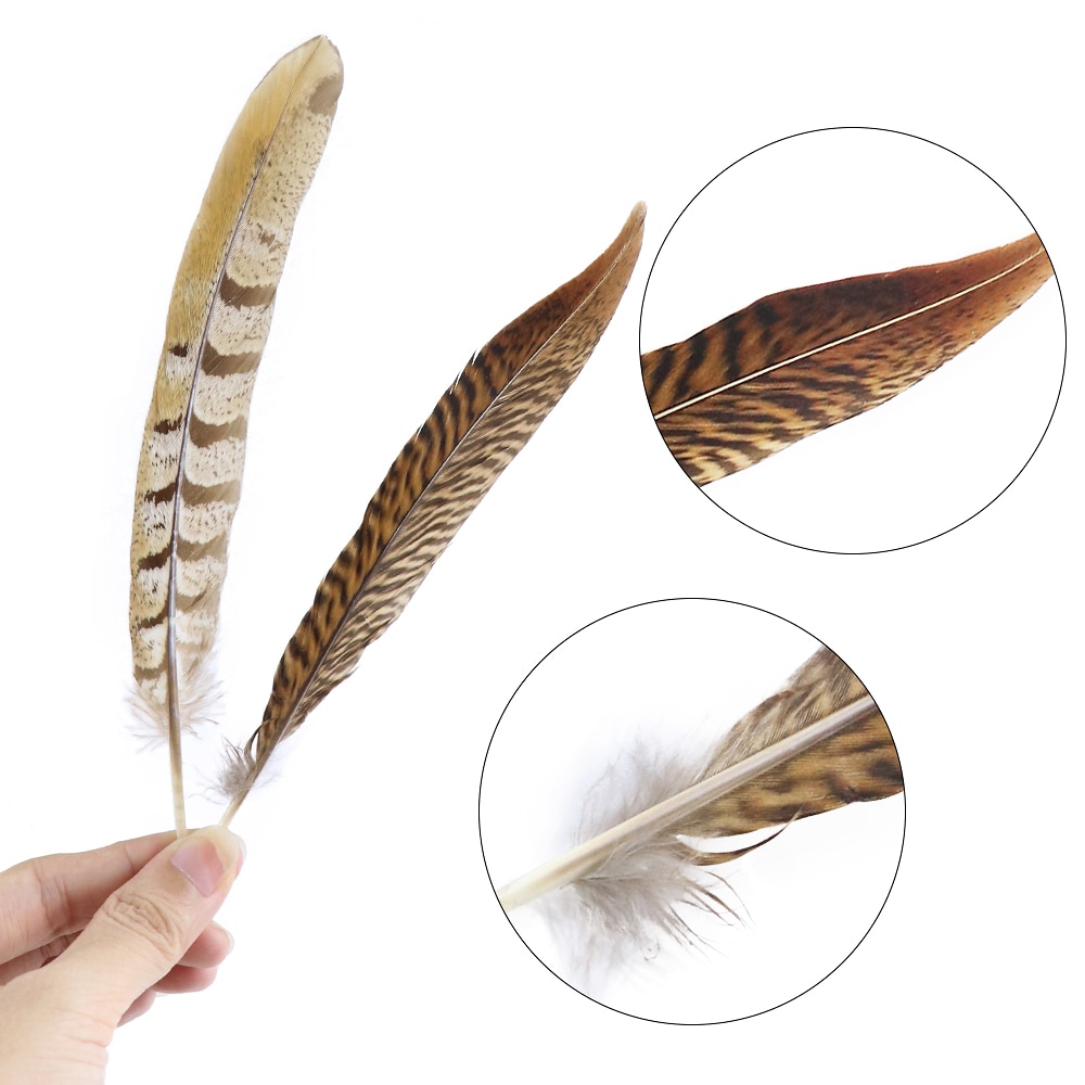 Natural Pheasant Feathers Set (10pcs)