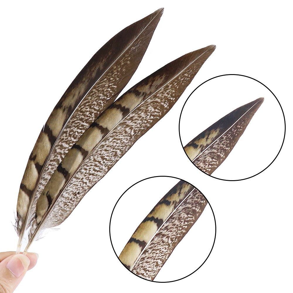 Natural Pheasant Feathers Set (10pcs)