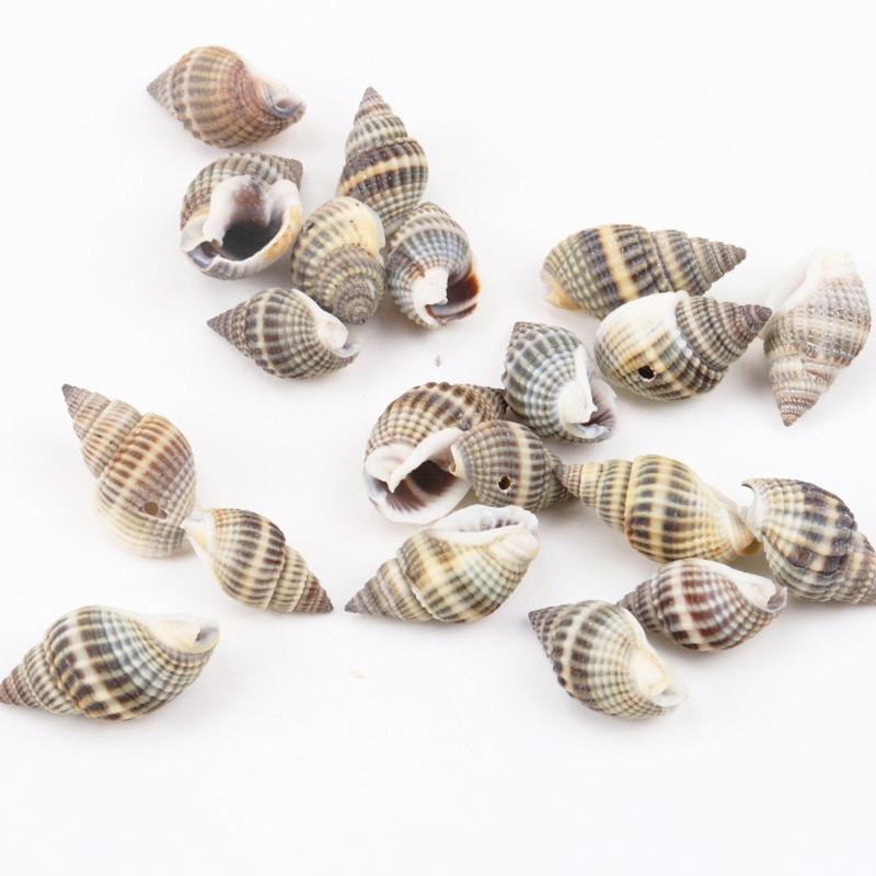 Seashell Decor Natural Spiral Shells
