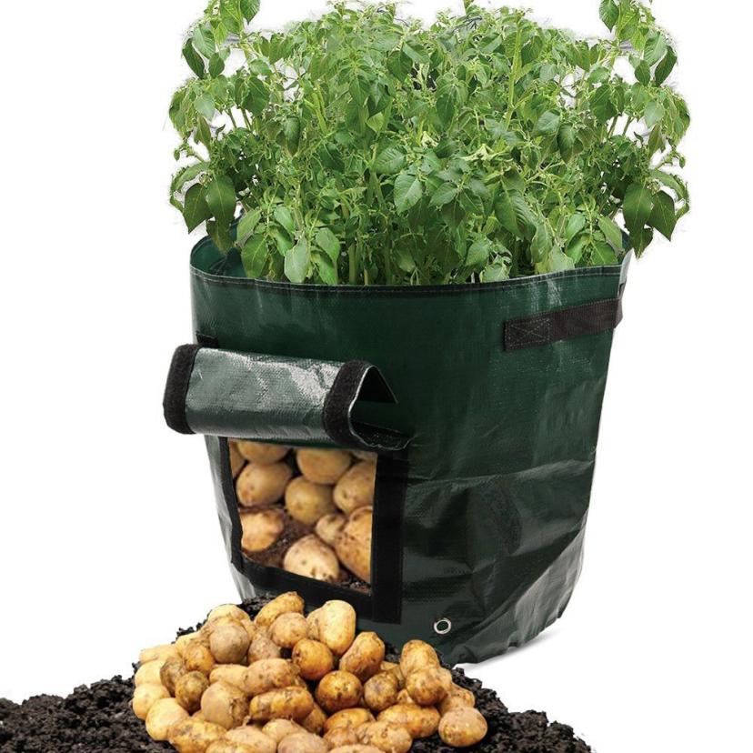 Potato Grow Bag Gardening Supply
