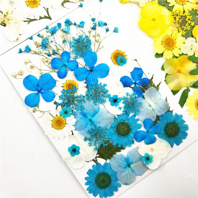 Pressed Flowers Artificial Decorations