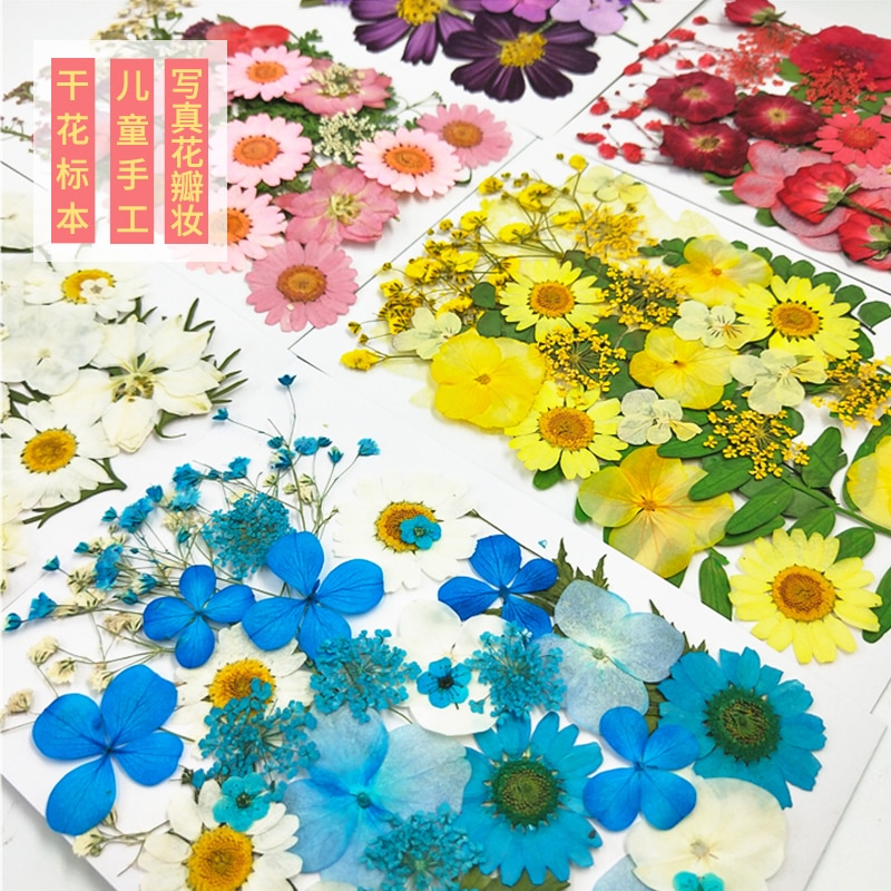 Pressed Flowers Artificial Decorations