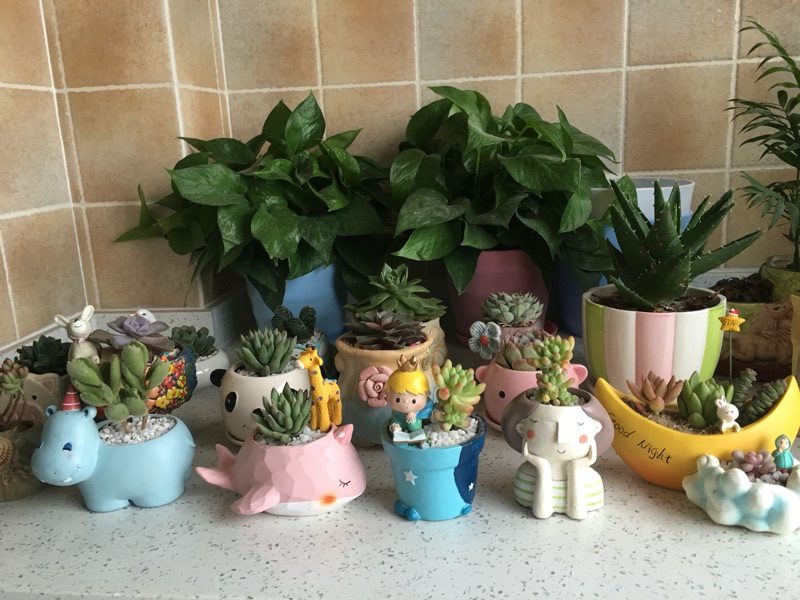 Plant Pots Happy Women Containers