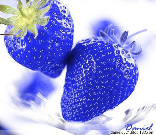 Rare Blue Strawberry Plant (100 PCS)