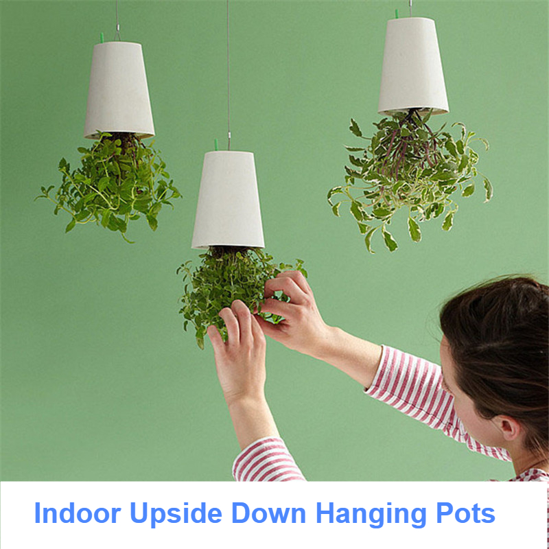 Upside Down Hanging Flower Pot