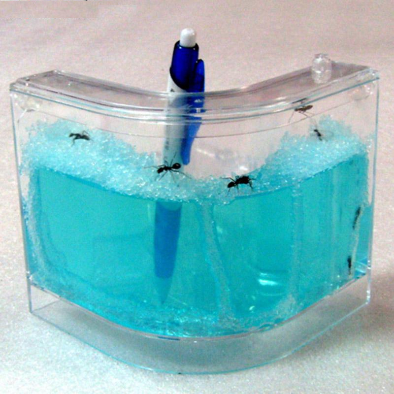 Blue Gel Live Ant Farm