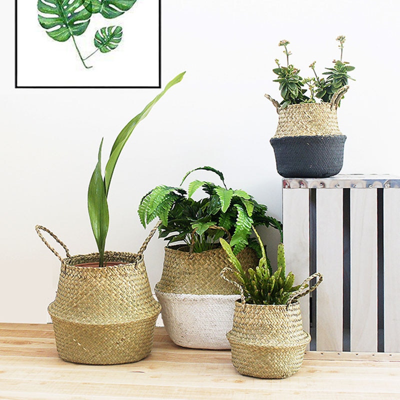 Wicker Basket for Indoor Plants