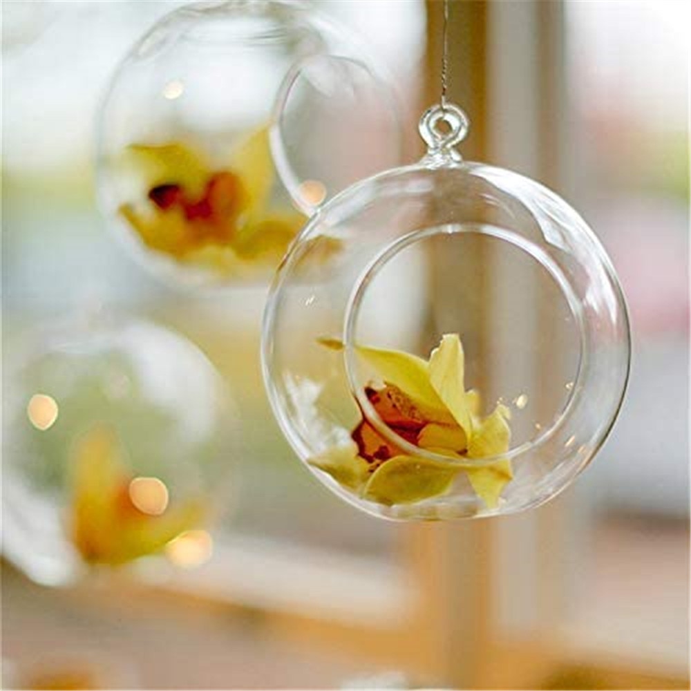 Clear Hanging Air Plant Vase