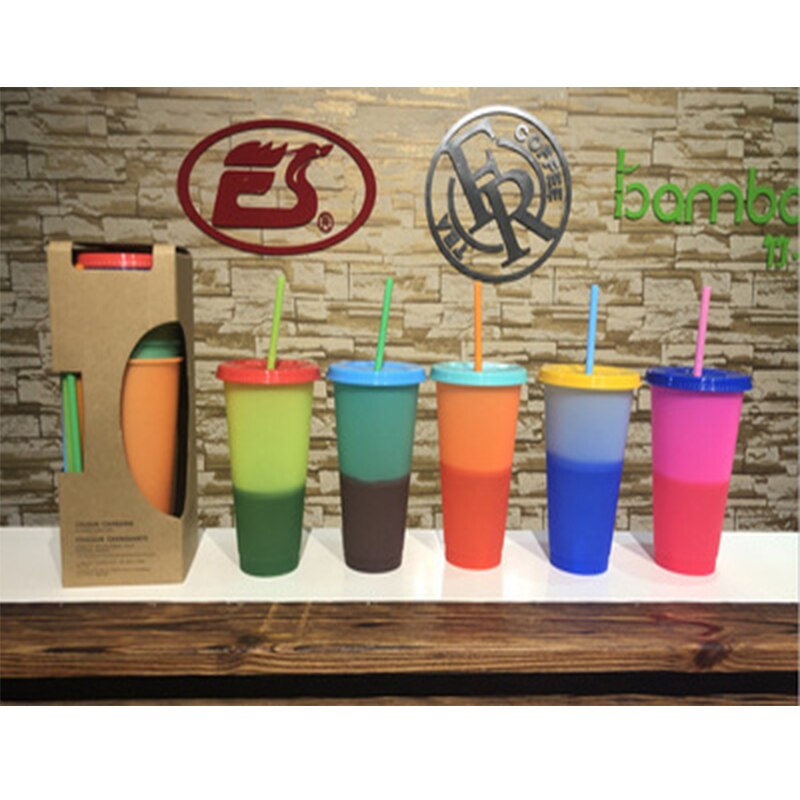 Color Changing Tumblers with Straw (5 pcs)