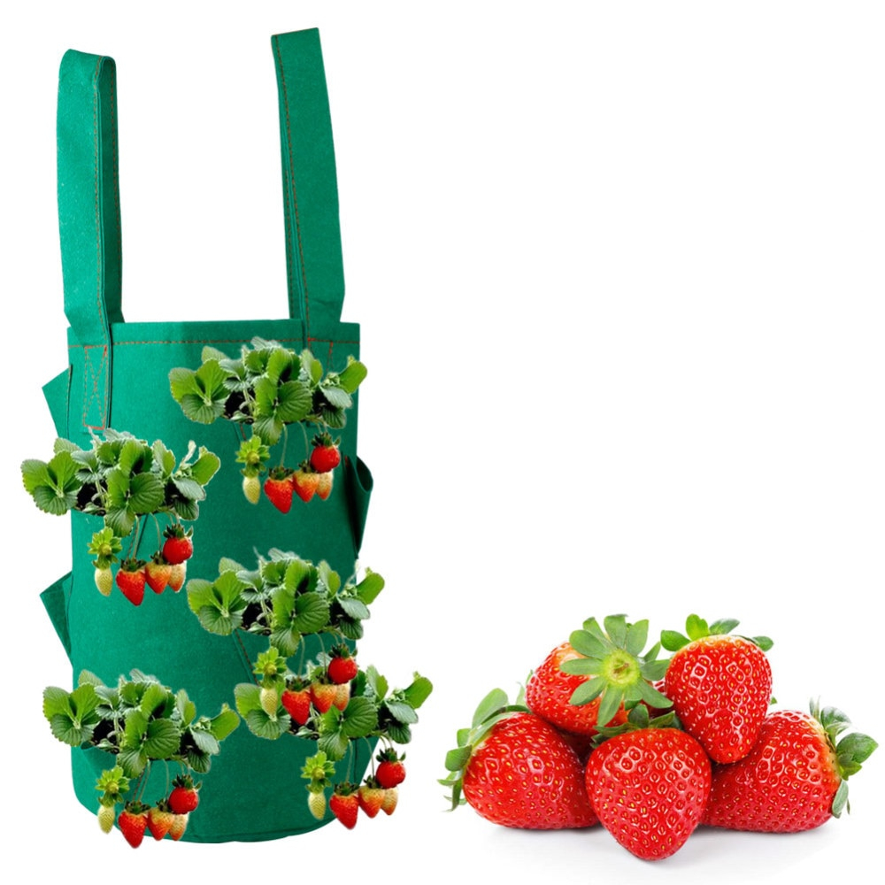 Strawberry Planter 11-Hole Plant Bag