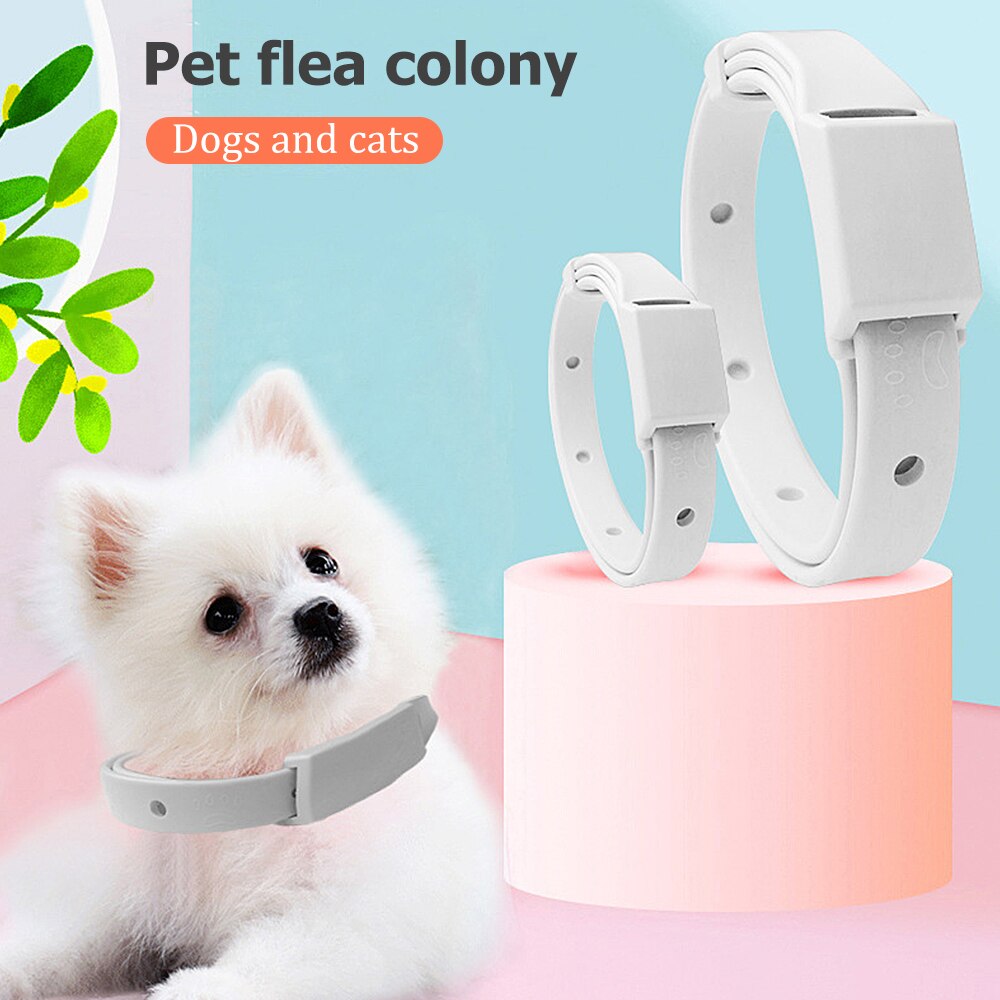 Flea Tick Collar for Cats and Dogs