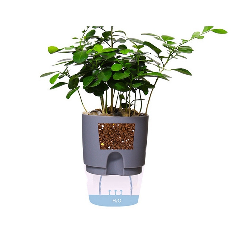 Self Watering Planter Indoor Flower Pot