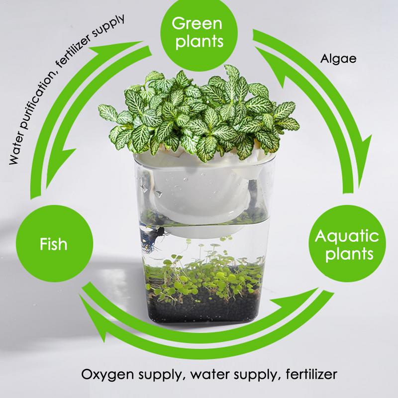 Fish Tank Planter 2 in 1 Plant Pot