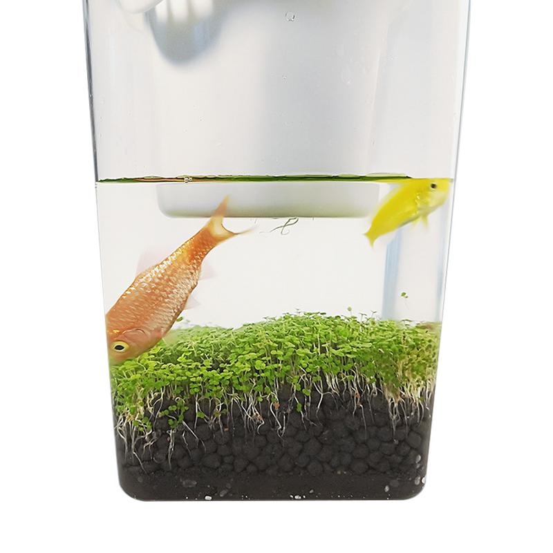 Fish Tank Planter 2 in 1 Plant Pot