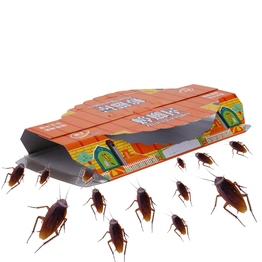 Cockroach Traps 10-pcs Killer Bait
