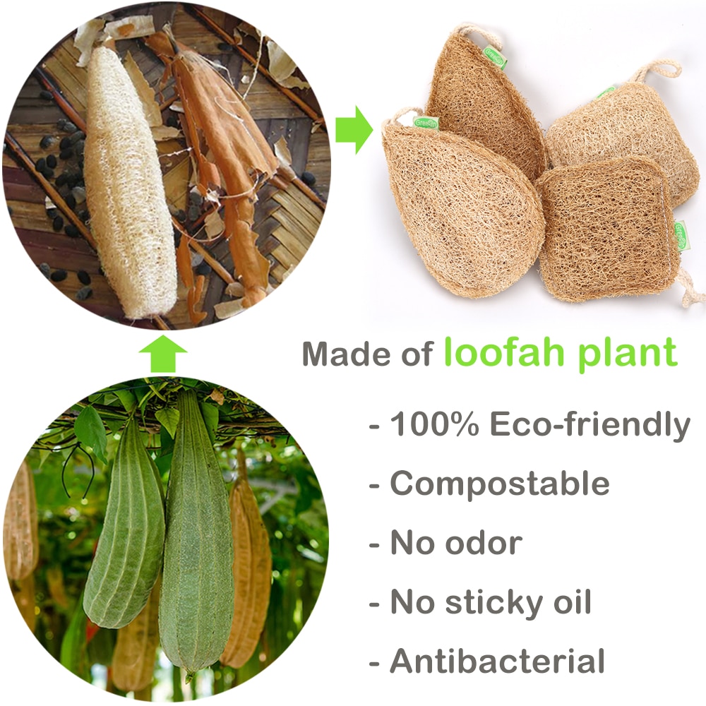 Natural Loofah Kitchen Sponge
