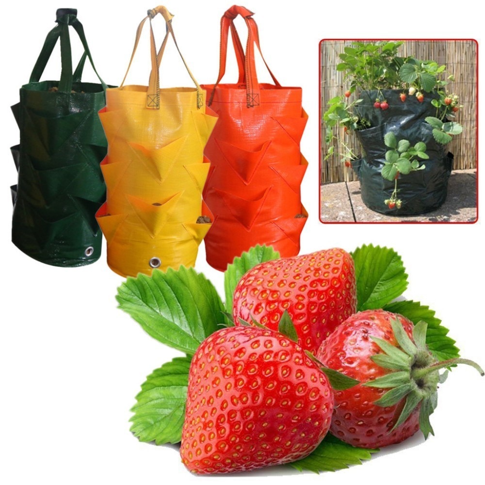 Grow Bag for Plants Vertical Planter with Strap