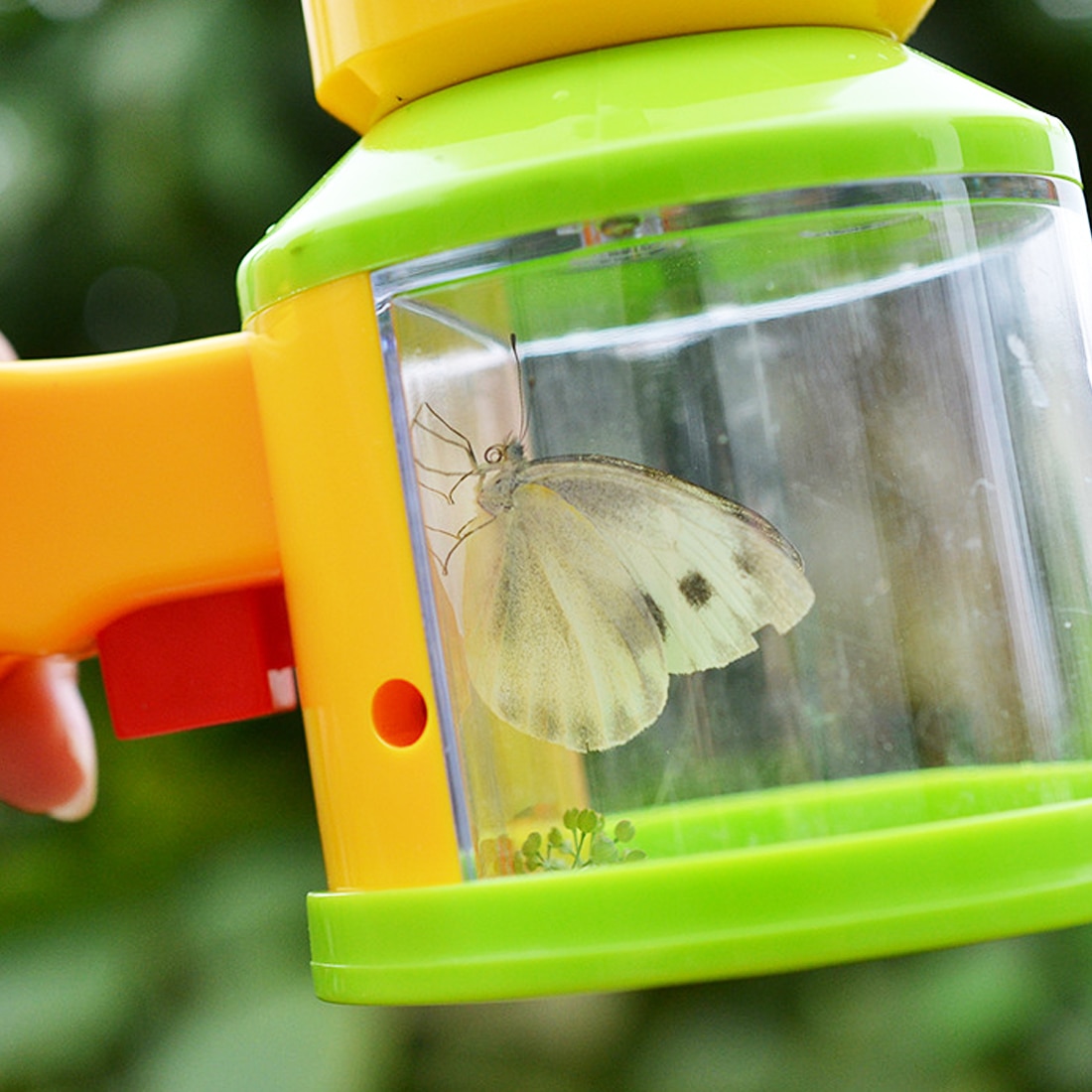 Bug Catcher Magnifier Science Toy
