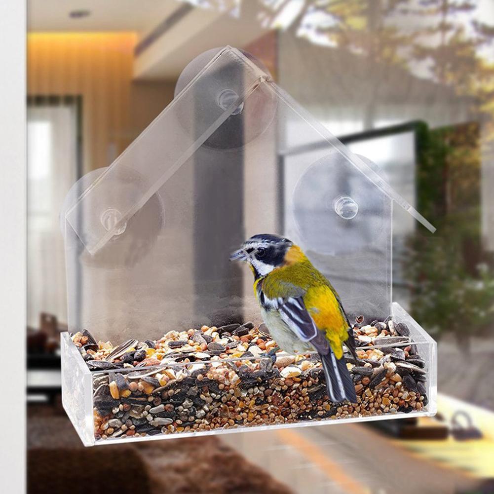 Bird Feeder Transparent Glass Sucker