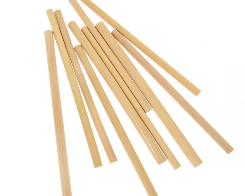 Bamboo Drinking Straws (Set of 12)